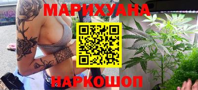 гидра Кандалакша