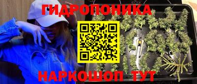 гидра Кандалакша
